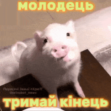 a picture of a pig with a caption in a foreign language that says " молодець "