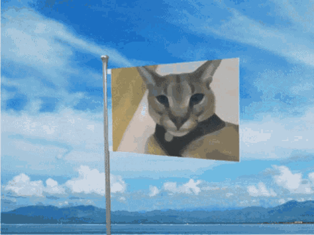 a flag with a picture of a cat on it flies in the wind