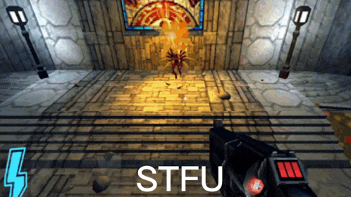 a screenshot of a video game that says stfu on the bottom