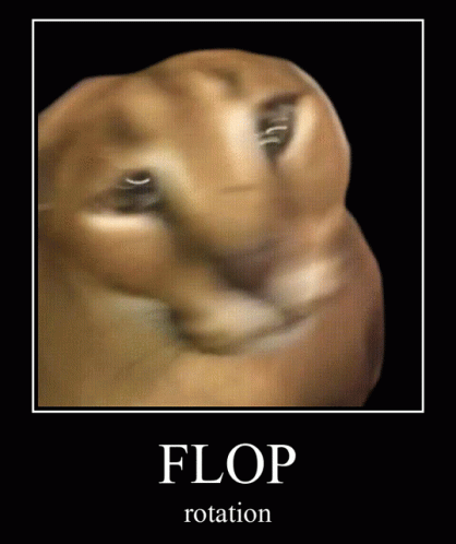 Floppa Bingus GIF - Floppa Bingus Plus GIFs