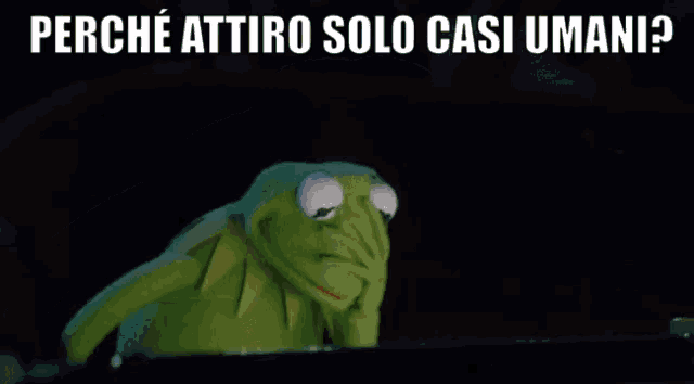 a kermit the frog is sitting in front of a computer screen with the words perche attiro solo casi umani written below him .