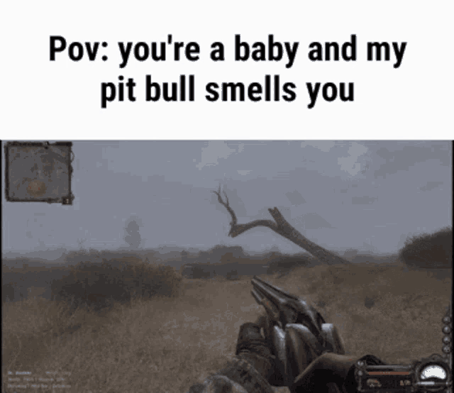 a screenshot of a video game that says " you 're a baby and my pit bull smells you " at the top