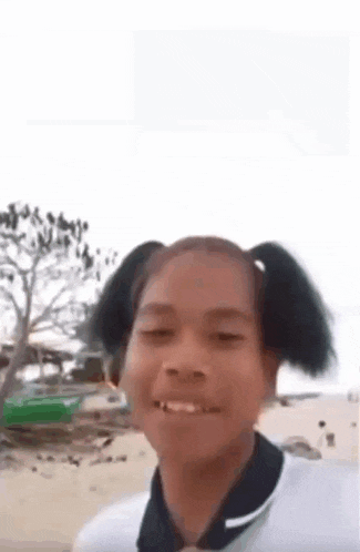 a young girl with pigtails is smiling for the camera while standing on a beach .