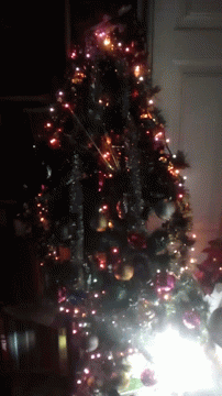 árvore De Natal Christmas Tree GIF - árvore De Natal Christmas Tree Christmas GIFs