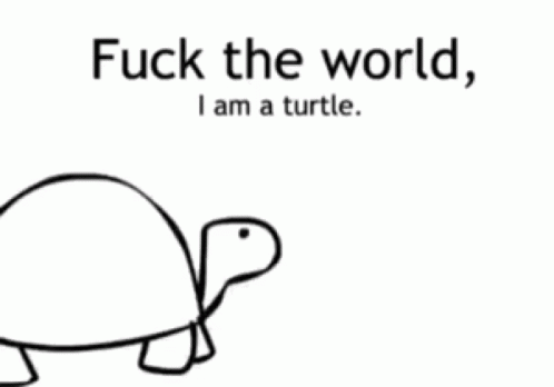 Fuck The World Im A Turtle Fuck It GIF - Fuck The World Im A Turtle Fuck It Always Be Yourself Unless GIFs