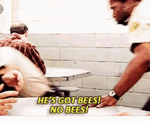 No Bees Arrested Development GIF - No Bees Arrested Development Beads GIFs