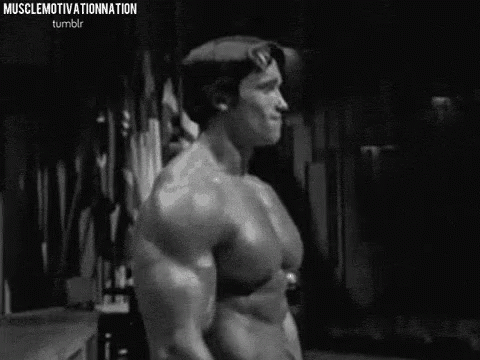 Arnold Schwarzenegger Muscular GIF - Arnold Schwarzenegger Muscular Workout GIFs