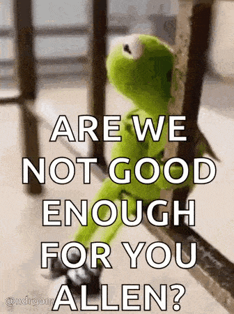 kermit the frog is sitting on a railing and asking if we are not good enough for you allen .
