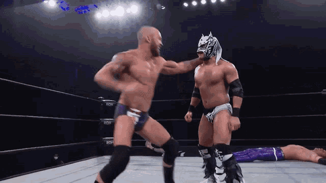two wrestlers in a ring with one wearing a mask that says tiger