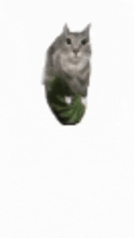 a cat is standing in front of a military plane .