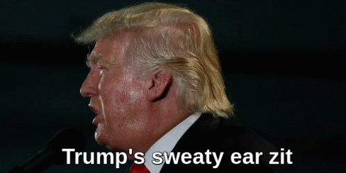 Trump Ear GIF - Trump Ear Zit GIFs