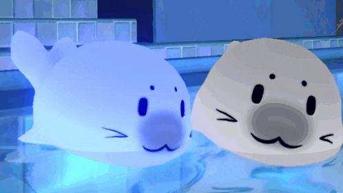 two seals are swimming in a pool with a blue light