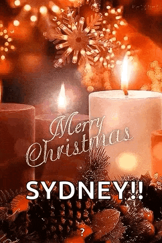a merry christmas greeting card with candles and pine cones .