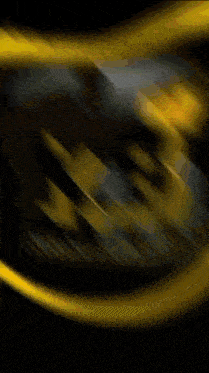 a gold coin with a leopard face and the words kaki billiard