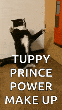 a black and white cat standing on its hind legs with the words tuppy prince power make up on the bottom