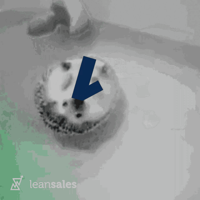 a picture of a hedgehog with a blue arrow pointing up and leansales written below it