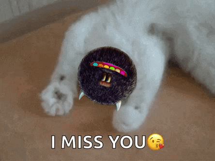 a white cat is laying on the floor with a smiley face and the words i miss you