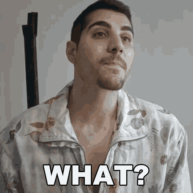 What Rudy Ayoub GIF - What Rudy Ayoub What Did You Say GIFs