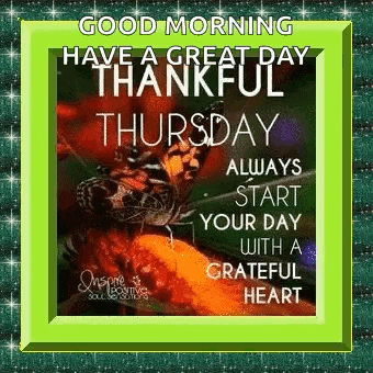 a picture of a butterfly on a pumpkin with the words `` good morning have a great day thankful thursday '' .