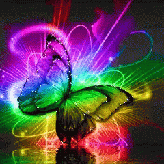 Butterfly Rainbow GIF - Butterfly Rainbow Colourful GIFs