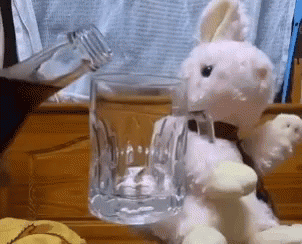 Bunny Wine GIF - Bunny Wine Day GIFs