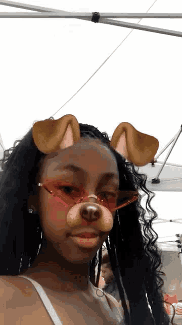 a girl wearing sunglasses and a dog face mask
