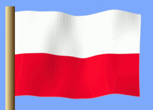 Polonya GIF - Polonya GIFs