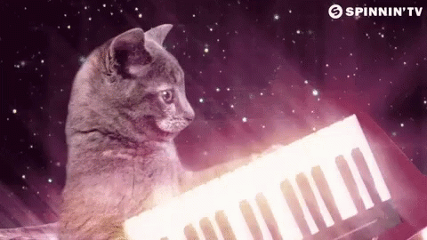 Spinnin Tv Cat Playing Keyboard GIF - Spinnin Tv Cat Playing Keyboard Outer Space GIFs