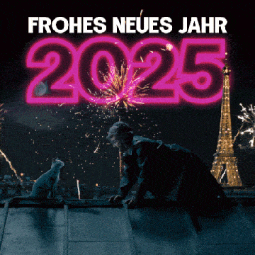a man and a cat on a roof with a fireworks display in the background that says frohes neues jahr 2025