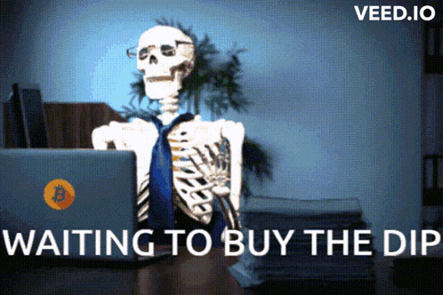 a skeleton is sitting in front of a laptop with the words waiting to buy the dip