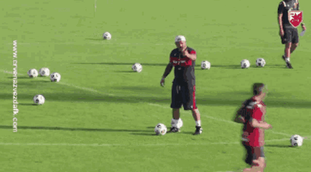 Papra Papradoktor GIF