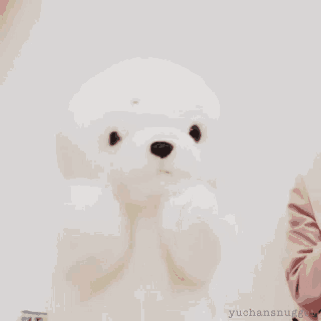 a white teddy bear is being held by a woman in a pink shirt .