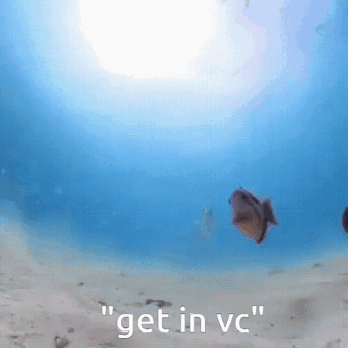Fish Vc Fish GIF - Fish Vc Fish Join Vc Fish GIFs