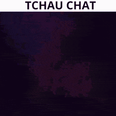 a blurred image of a woman with the words tchau chat below it