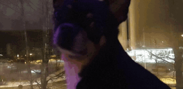 a close up of a dog 's face in front of a window