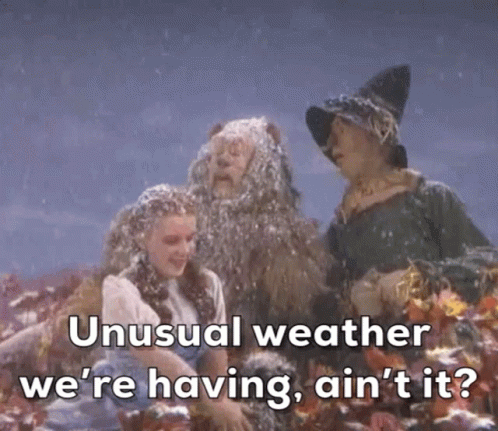 Wizard Of Oz Unusual Weather GIF