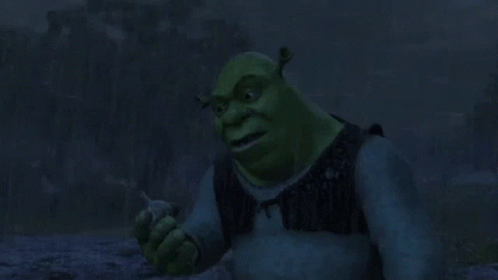 Shrek Shrek2 GIF - Shrek Shrek2 Raining GIFs