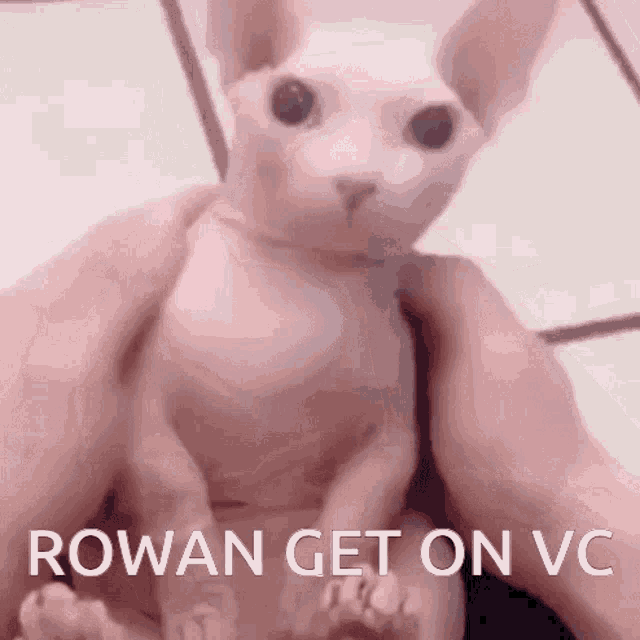 Rowan Get GIF - Rowan Get On GIFs