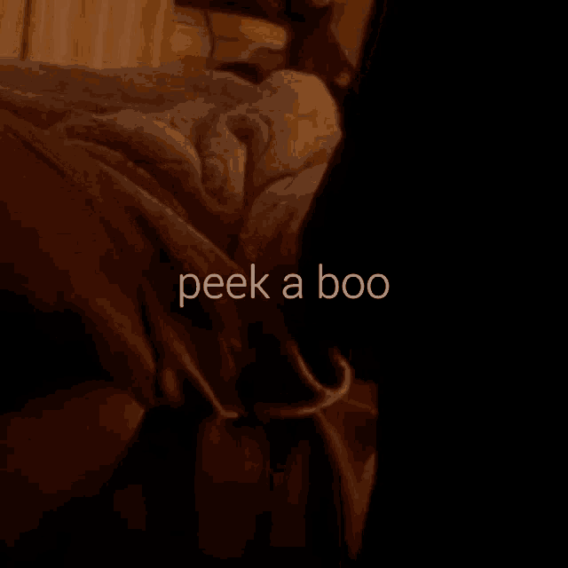 Peekaboo Peep GIF - Peekaboo Peep Peek GIFs