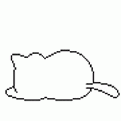 Facepalm Cat GIF - Facepalm Cat Sleeping Cat GIFs