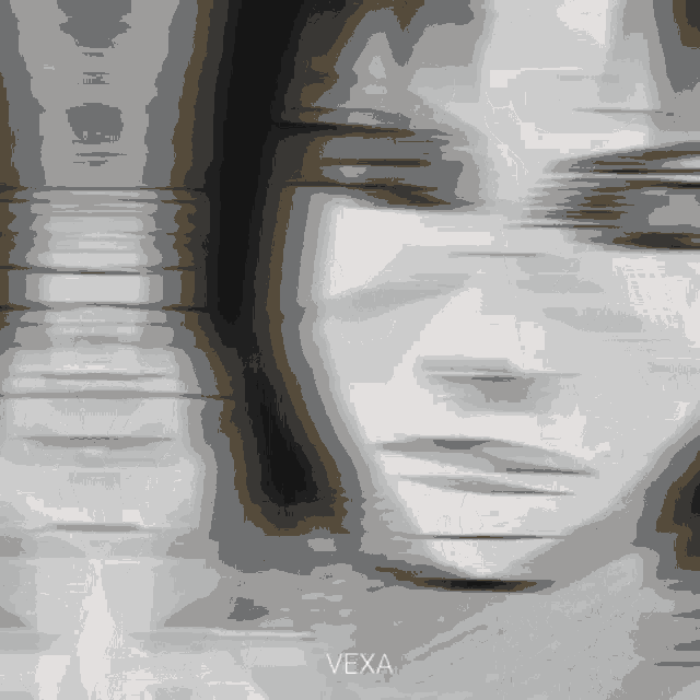 a black and white photo of a person 's face with the word vexa written on the bottom