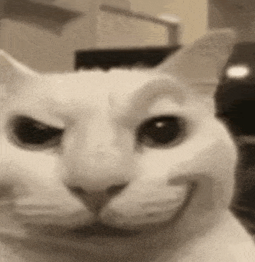 a close up of a white cat 's face with a smiling face .