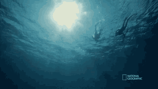 two people are swimming in the ocean with a national geographic logo behind them