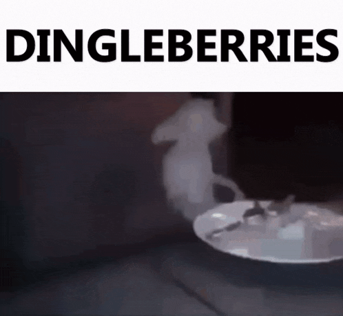 a white plate with a cup of coffee on it and the words dingleberries
