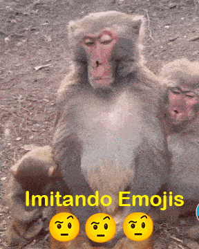 two monkeys are sitting next to each other with the words imitando emojis on the bottom