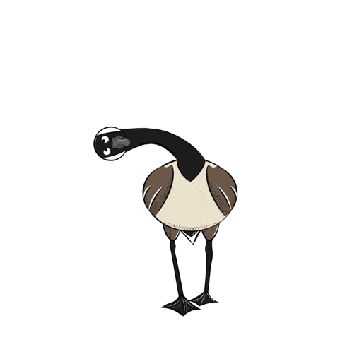 a cartoon drawing of a goose with a sweater on