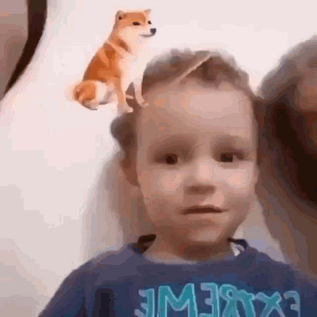 a young boy with a dog sitting on his head .