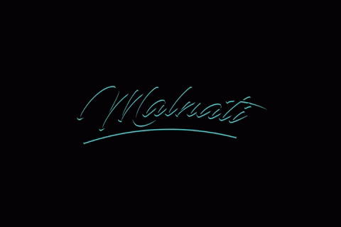 Malnati Ph GIF - Malnati Ph Nicola GIFs