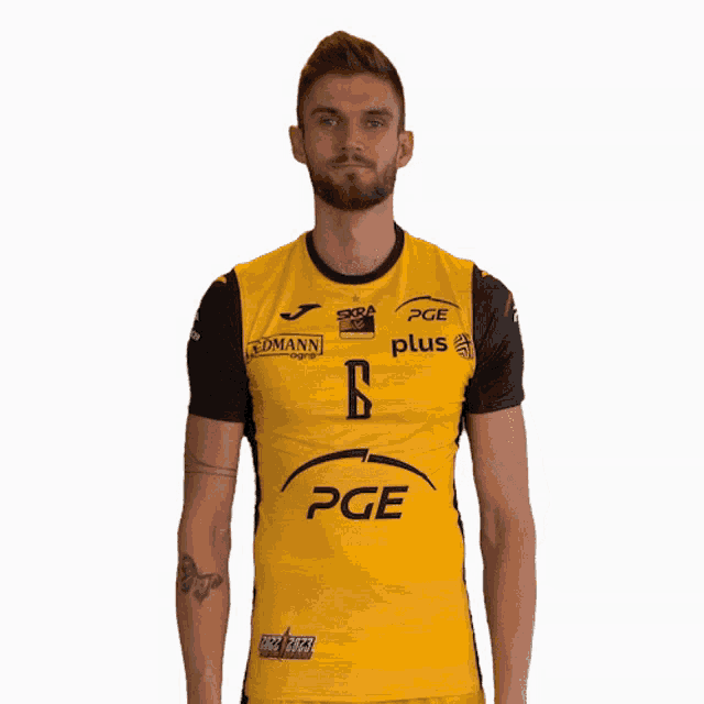Skra Belchatow GIF