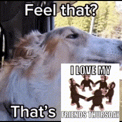a picture of a horse with the words feel that that 's friends thursday